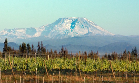 CHILE - MAULE VALLEY