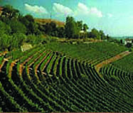ITALYOVIEW_top_left